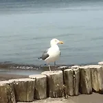 Utkiek 1 شقة زنغست
