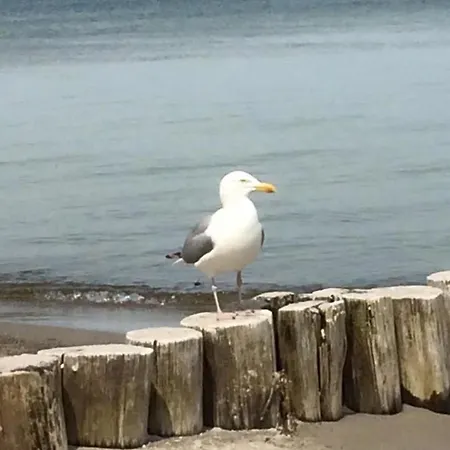 Utkiek 1 Апартаменты Цингст